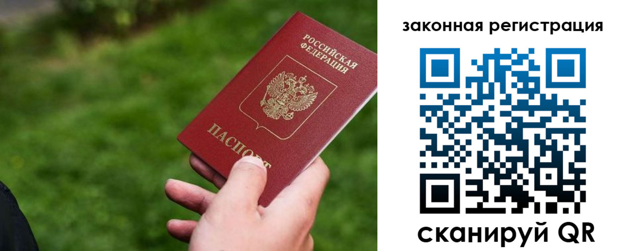 прописка законно в Волгореченске